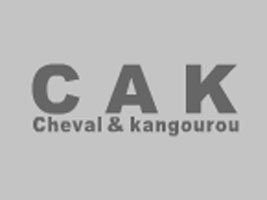 ��������Խʵҵ���޹�˾