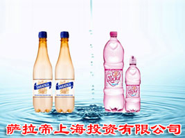 �����ۣ��Ϻ���Ͷ�����޹�˾