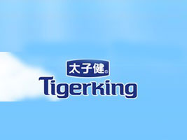 ������TIGERKING��̫�ӽ�����ҵ��˾