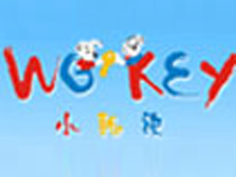 �����й����������޹�˾