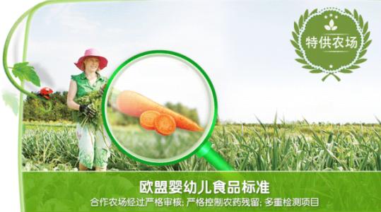 ����ʳƷ�����߽���ʳƷ������|2019��4�¹��ʻ�չ�����Ϲ�