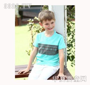 CAKͯװ2013���ļ�����T��