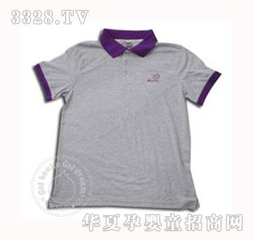 �͹�POLOϵ�������T��