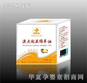 ������Ĵ�����������