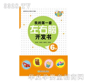 易读宝我的第一套左右脑开发书6岁