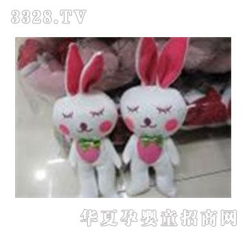 ������ʹ��