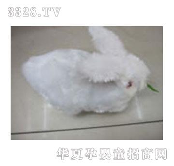 ����ſ��