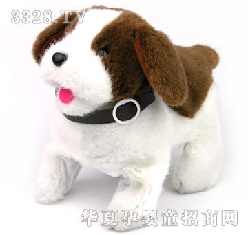 ����¡������-ʥ����