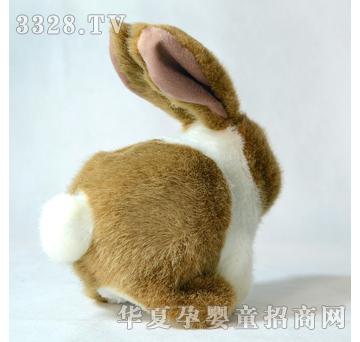 ����¡������