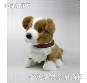 ����¡����˯����