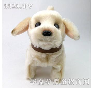 ����¡С��Ѱ��Ȯ