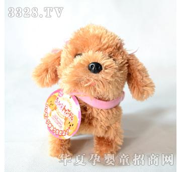 ����¡С�ݹ���Ȯ