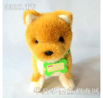 ����¡��Ȯ��̫