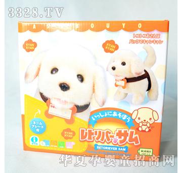 ����¡Ѱ��Ȯ-ɭ��