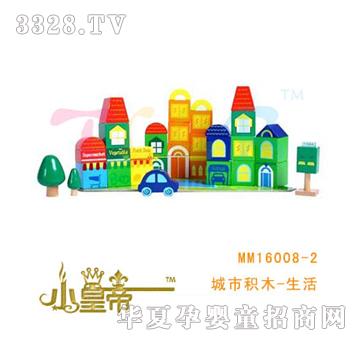 ԲԲγлľ-MM16008-2