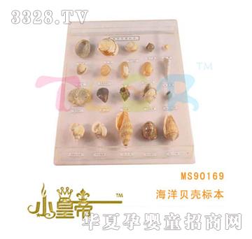 ԲԲκ󱴿Ǳ걾MS90169