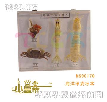 ԲԲκ׿Ǳ걾MS90170