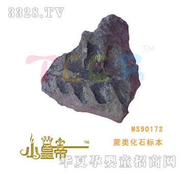 ԲԲާ໯ʯ걾MS90172