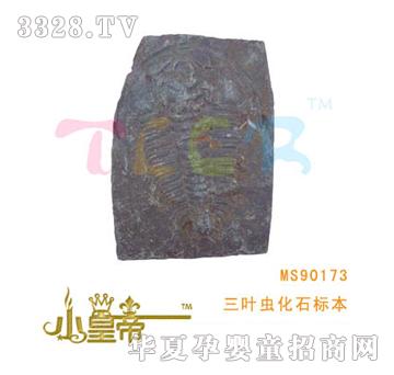 ԲԲҶ滯ʯ걾MS90173