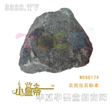 ԲԲαǻʯ걾MS90174