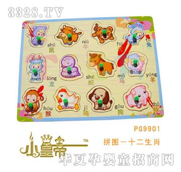 ԲԲСʵƴͼʮФPG9901
