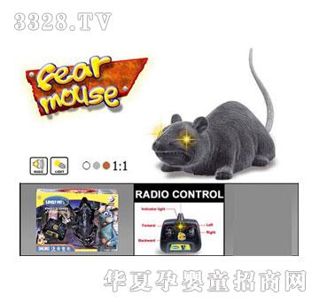 �˰�԰1912439�ĵ�ң��ë����