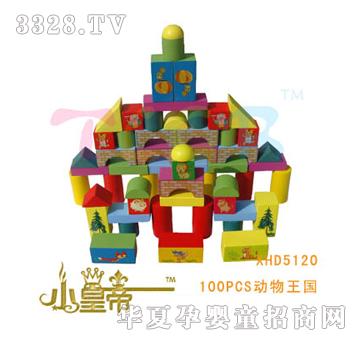 ԲԲ100PCSͰװľXHD5120