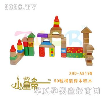 ԲԲ50ͰװľľXHD-A8199