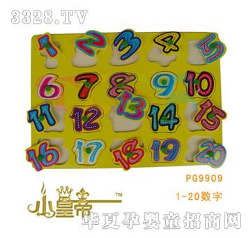 ԲԲСʵƴͼ1-20PG9909