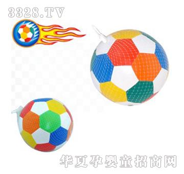 Զʢ����YS00170005