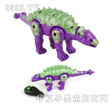 Զʢң���Ľſ���YRO0137