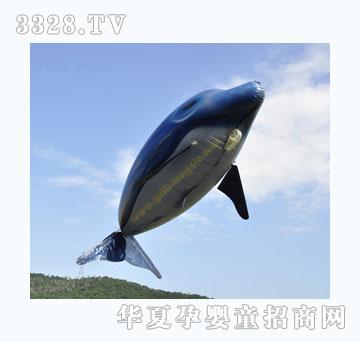 ����ң�غ�����з���