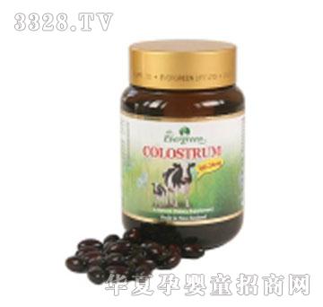 Evergreenţ���齺��