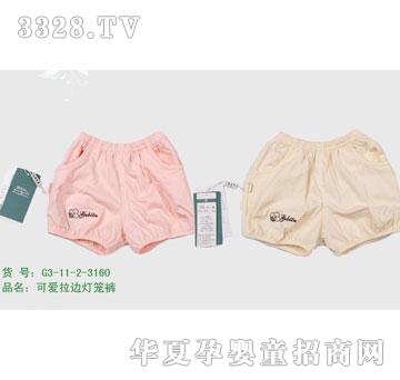 ٻ2011ĿG3-11-2-3160