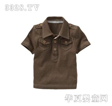 ����Բ��ɫ����