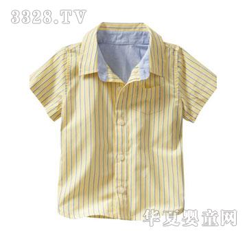 ����Բ���¶���