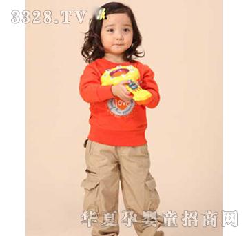 ���ű���������װ