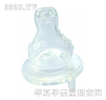 �����ַ���©����