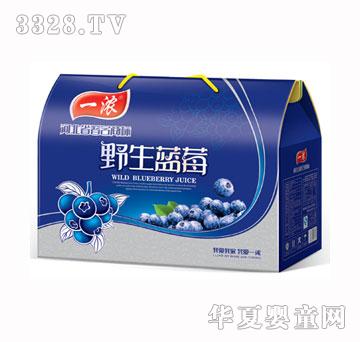 һŨҰ����ݮ���