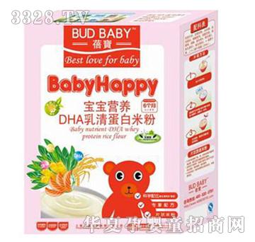 ����DHA���嵰���׷�