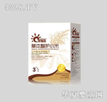 ߹����DHAҰ������Ӫ���׷�