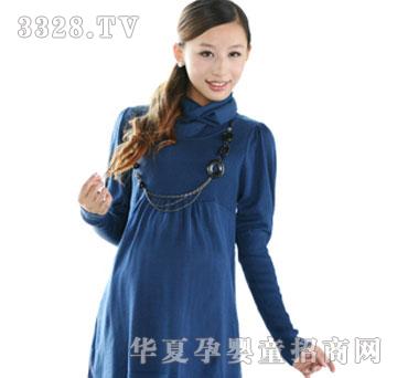 ʮ������ë���и�װ��װ����1199307ר���