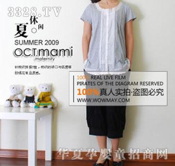 ʮ�������и�������װ�����и�����T��ԭ