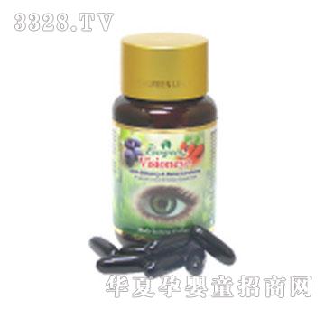 Evergreen���۾�����