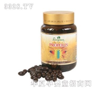 Evergreen�佺����