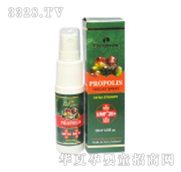 Evergreen�佺���