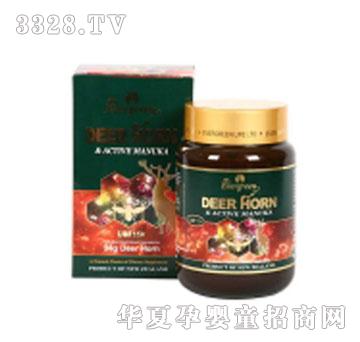 Evergreen¹����¬�����Է���