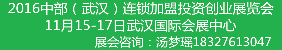 2016�ڰ˽��в����人����������Ͷ�ʴ�ҵչ����