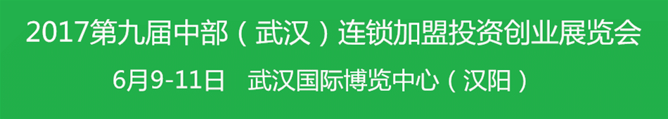 2017�ھŽ��в����人����������Ͷ�ʴ�ҵչ����