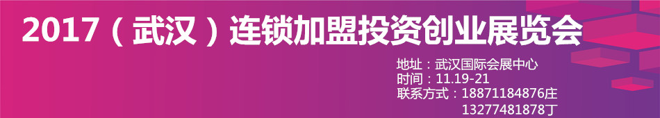 2017��ʮ���人��������Ͷ�ʴ�ҵչ����